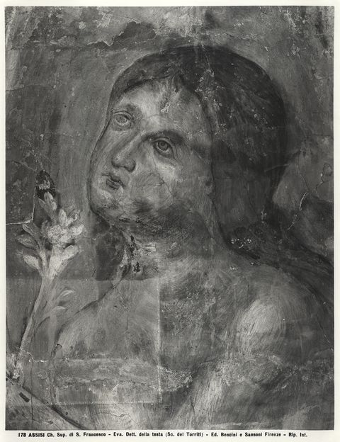 Sansoni, Mario/ Bencini, Giulio — Assisi - Ch. Sup. di S. Francesco - Eva dett. della testa — particolare